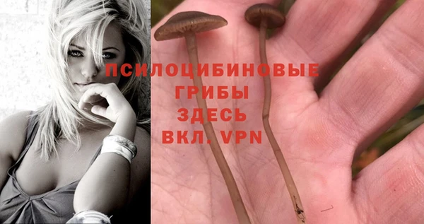 MDMA Premium VHQ Балабаново
