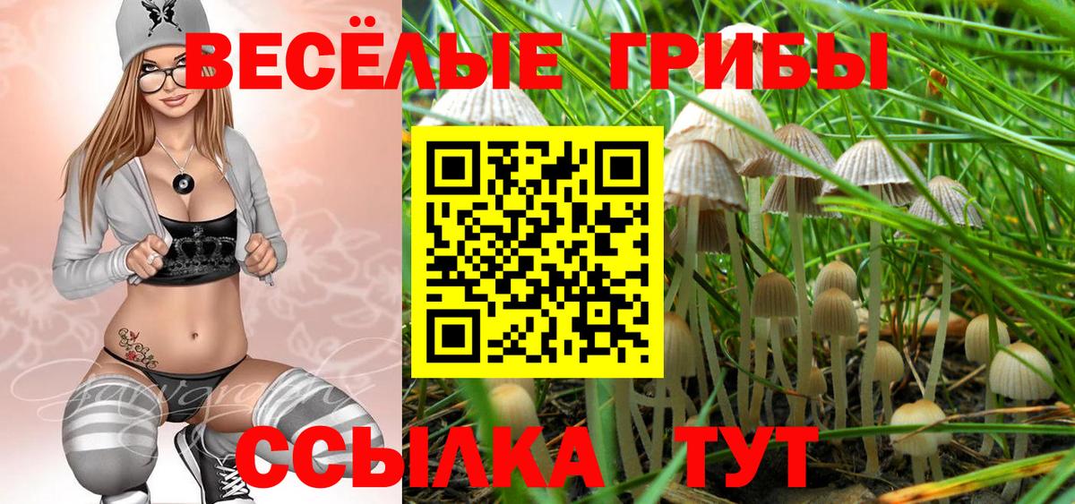 Саки  Псилоцибиновые грибы ЛСД  Вход с VPN  Галлюциногенные грибы Psilocybine cubensis 