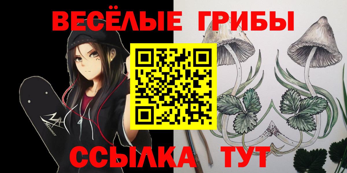 Псилоцибиновые грибы мухоморы Саки